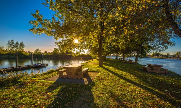 秋天的傍晚 夕阳西下 在弗雷泽河岸的麦克唐纳海滩公园野餐 海滨落叶落叶树下的野餐桌上 阳光在树叶间洒出光芒 — 图库照片