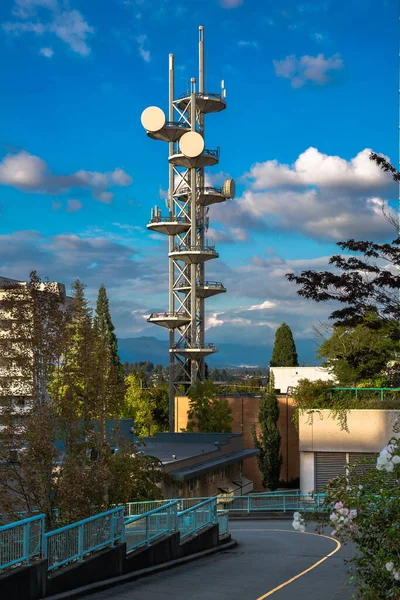 Telecommunications Tower Located Uptown New Westminster Buildings Trees Mountain Range — Stockfoto