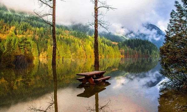 Autumn flood,  High  level of water at  picnic area near Buntzen Lake, early snowfalls and heavy rains, a lot of snow melted in the mountains, floods flooded the picnic place