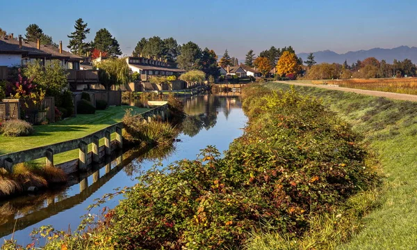 Residential Area Banks Canal Thickets Blackberry Bushes Other Shore Autumn — Stock Photo, Image