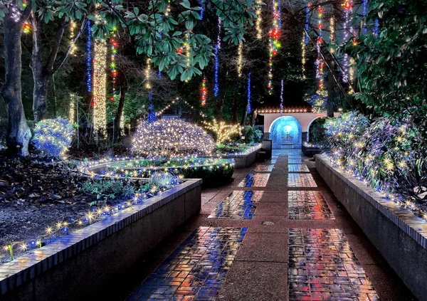 在小雨天的夜晚 公园里的圣诞灯饰 在潮湿的地面上美丽的灯光映照 温哥华北部蒂尔福德花园 — 图库照片