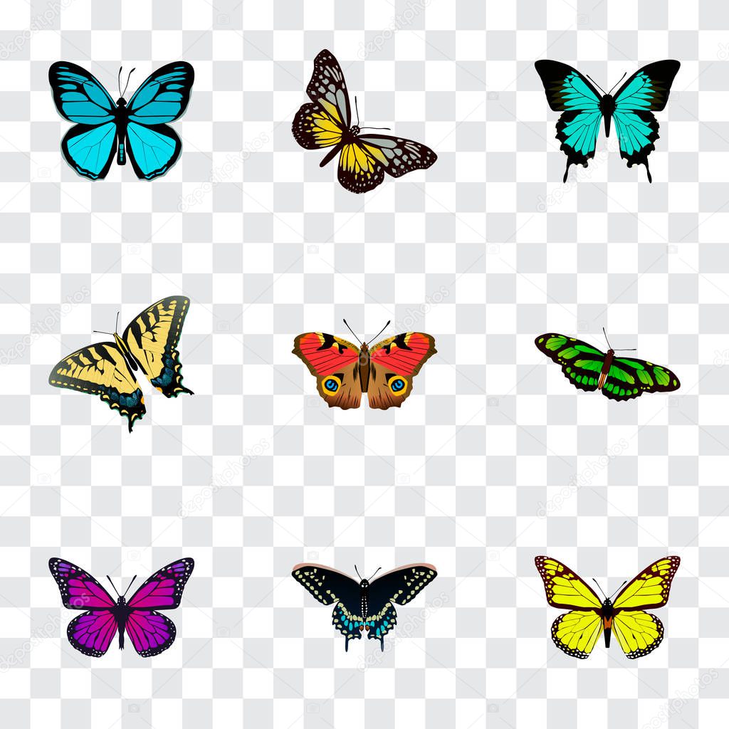 Set of moth realistic symbols with yello-wing, precis almana, butterfly and other icons for your web mobile app logo design.