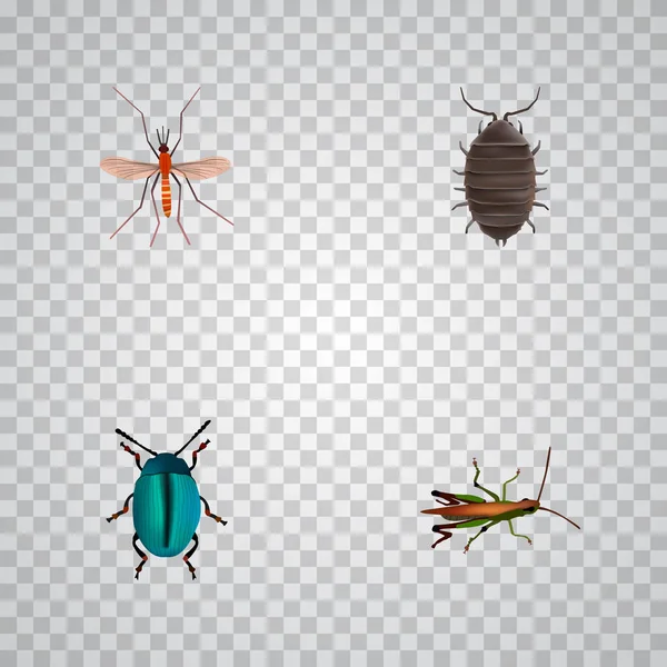 Sivrisinek, hata, çekirge ve diğer simgeler web mobil app logo tasarımı için böcek gerçekçi simgeler kümesi. — Stok Vektör