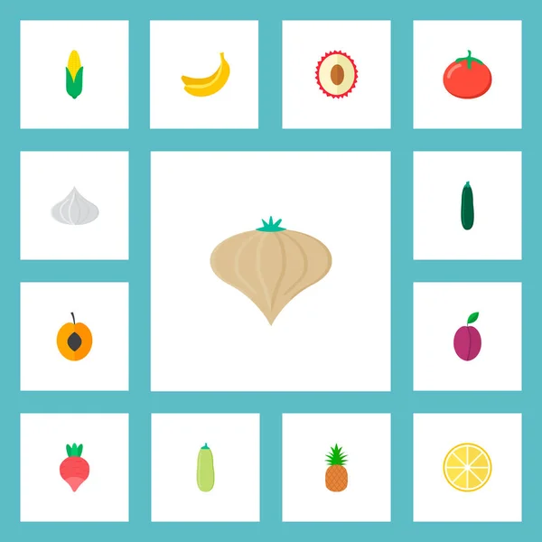 Набір символів плоского стилю з сливою, абрикосом, помідорами та іншими піктограмами для дизайну логотипу вашого мобільного додатку . — стоковий вектор