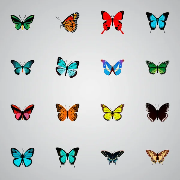 Set aus realistischen Schmetterlingssymbolen mit Haarsträhne, Checkspot, blauem Schwanz und anderen Symbolen für das Design Ihres mobilen App-Logos. — Stockfoto