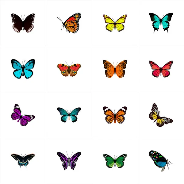 Conjunto de símbolos realistas de polilla con ulysses de papilio, bluewing, pavo real verde y otros iconos para el diseño del logotipo de su aplicación móvil web . — Vector de stock