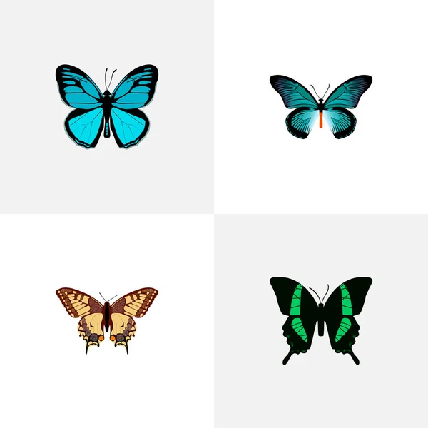 Güve gerçekçi sembollerle kuyruklu-mavi, checkerspot, tropikal güve ve diğer simgeler web mobil app logo tasarımı için. — Stok Vektör