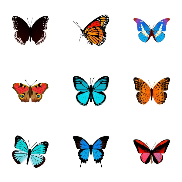 Conjunto de símbolos realistas de polilla con dama pintada, agrias claudina, monarca y otros iconos para el diseño del logotipo de su aplicación móvil web . — Vector de stock