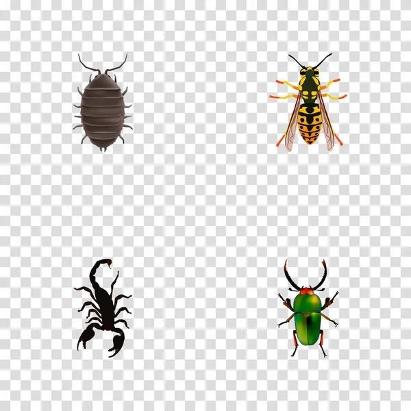 Set of insect realistic symbols with scorpion, sting, bug and other icons for your web mobile app logo design. — Stock Vector