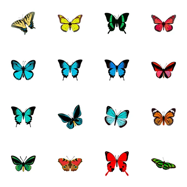 Set von Motten realistische Symbole mit precis almana, Papilio Ulysses, Himmelstier und andere Symbole für Ihre Web-Mobile-App-Logo-Design. — Stockfoto