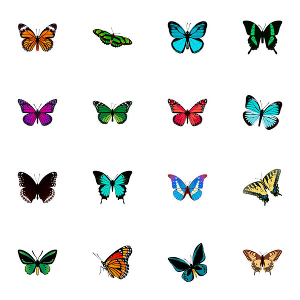Set of moth realistic symbols with lexias, papilio ulysses, painted lady and other icons for your web mobile app logo design.