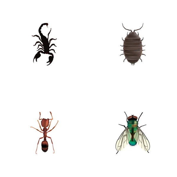 Zestaw owad realistyczne symboli z błędu, osy, Skorpion i inne ikony dla projektu logo mobilnych aplikacji sieci web. — Zdjęcie stockowe