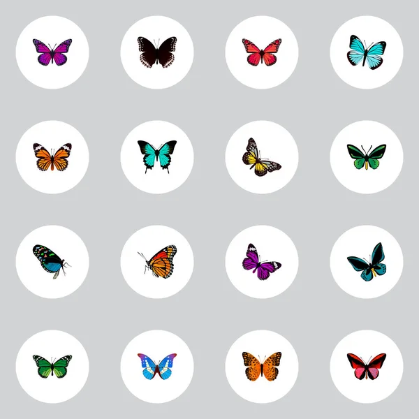 Set von realistischen Schmetterlingssymbolen mit Demophoon, Hypolimnas, grünem Pfau und anderen Symbolen für Ihr Web-Logo für mobile Apps. — Stockvektor