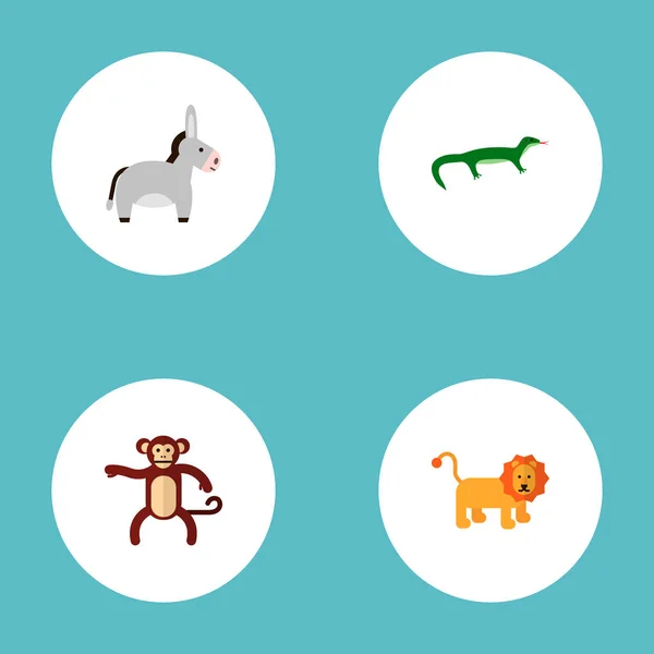 Set zoölogie pictogrammen vlakke stijl symbolen met leeuw, ezel, gecko en andere pictogrammen voor uw web mobiele app logo ontwerp. — Stockvector