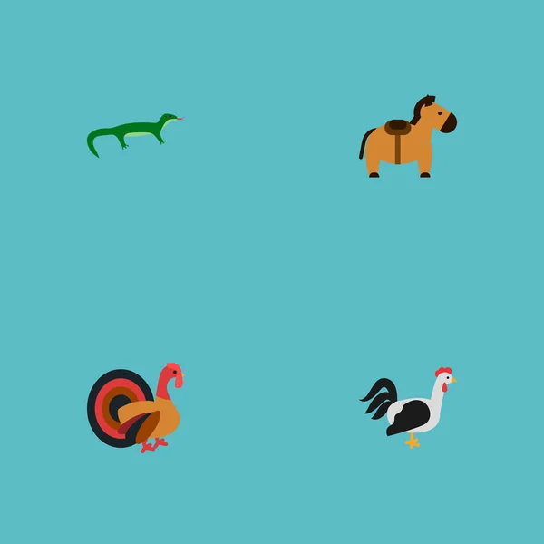 Set di icone vive simboli in stile piatto con gallo, tacchino, cavallo e altre icone per il vostro web mobile app logo design . — Vettoriale Stock