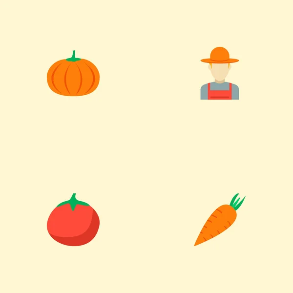 Set di icone agricole simboli in stile piatto con carota, zucca, contadino e altre icone per il tuo design del logo dell'app mobile web . — Vettoriale Stock