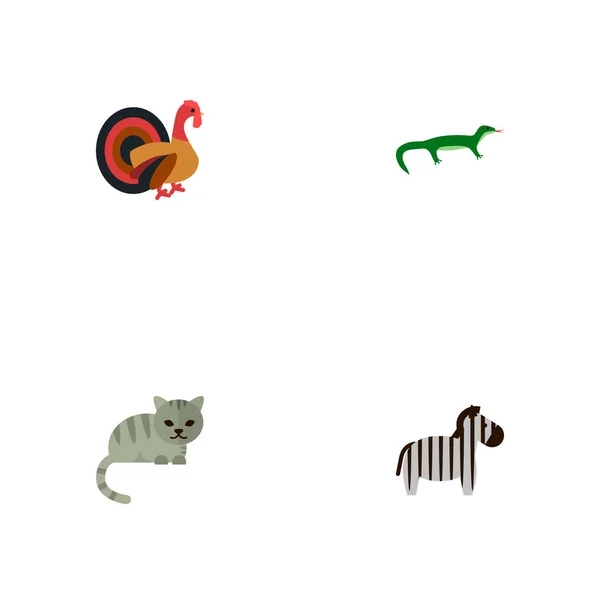 동물학 아이콘 평면 스타일 기호의 얼룩말, 고양이, 터키와 귀하의 웹 모바일 애플 리 케이 션 로고 디자인에 대 한 다른 아이콘 세트. — 스톡 벡터