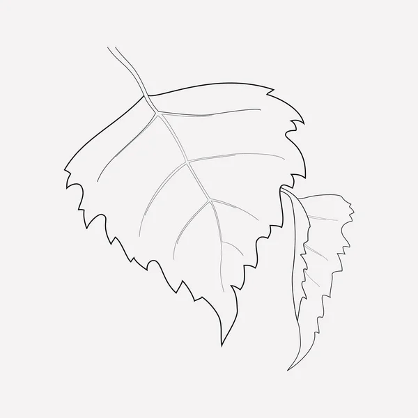 Aspen elemento linea icona. Illustrazione vettoriale della linea di icone aspen isolata su sfondo pulito per il design del logo dell'app mobile web . — Vettoriale Stock