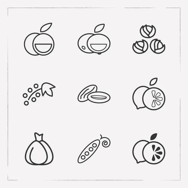 Reihe von Fruchtsymbolen Linie Stil-Symbole mit Johannisbeeren, Rosenkohl, Erbsenschoten und andere Symbole für Ihre Web-Mobile-App-Logo-Design. — Stockvektor