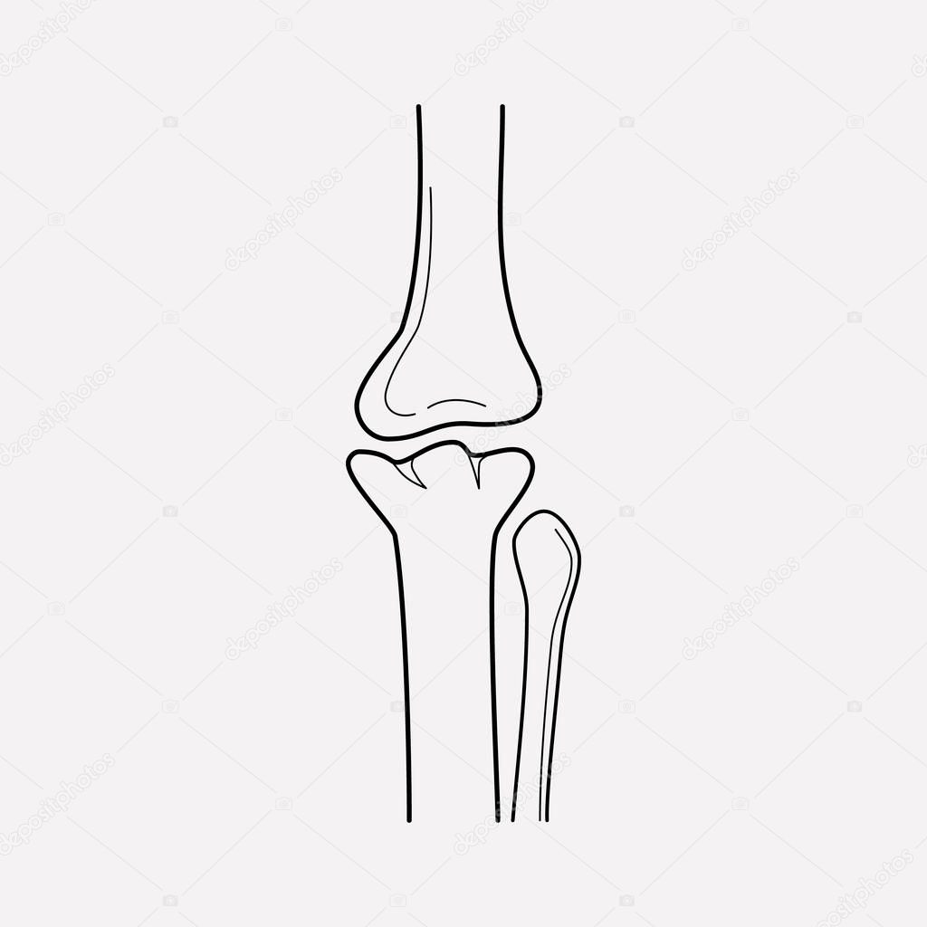 Bone joint icon line element. Vector illustration of bone joint icon line isolated on clean background for your web mobile app logo design.