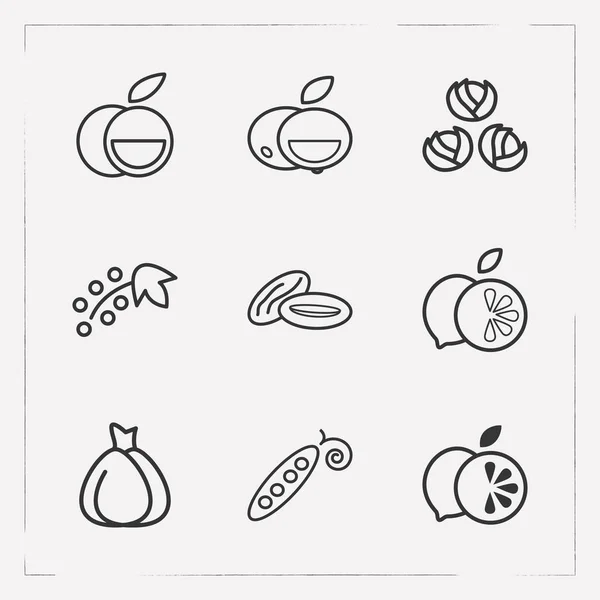 Conjunto de iconos de vitaminas símbolos de estilo de línea con grosella, coles de Bruselas, vainas de guisantes y otros iconos para el diseño del logotipo de su aplicación móvil web . —  Fotos de Stock
