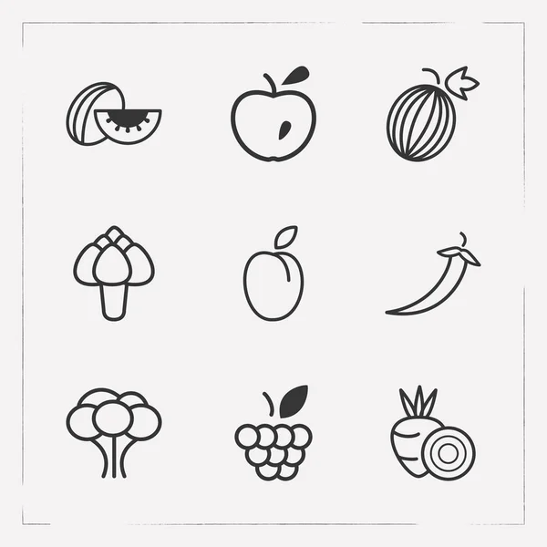 Set of vitamin icons line style symbols with broccoli, gooseberry, artichoke and other icons for your web mobile app logo design.