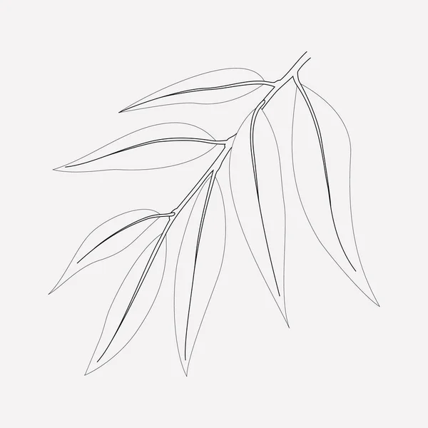 Willow ikonen line-element. illustration av willow ikonen linje isolerade på ren bakgrund för din mobilapp logotyp webbdesign. — Stockfoto