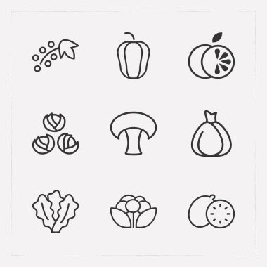 Berry simgeler çizgi stili sembolleri marul, dolmalık biber, karnabahar ve diğer simgeler web mobil app logo tasarımı için kümesi.