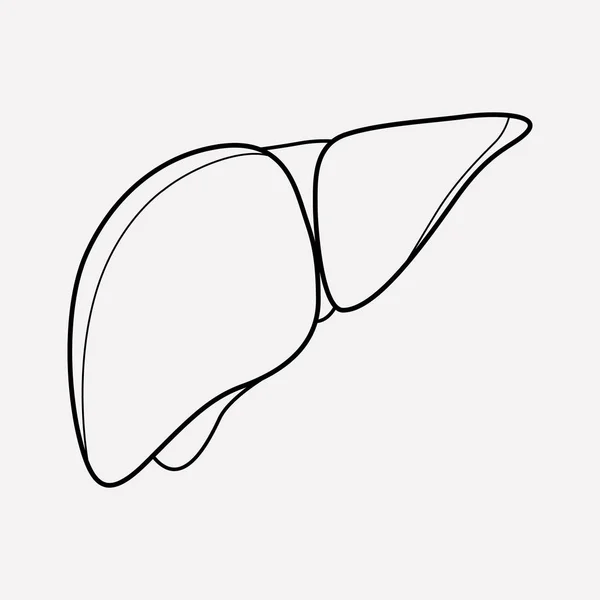 Fígado ícone elemento de linha. Ilustração vetorial da linha de ícones de fígado isolada no fundo limpo para o design do logotipo do aplicativo móvel da web . — Vetor de Stock