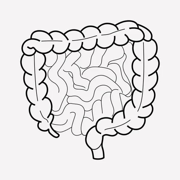 Elemento de linha de ícone intestinal. Ilustração vetorial da linha de ícone do intestino isolada no fundo limpo para o design do logotipo do aplicativo móvel da web . — Vetor de Stock