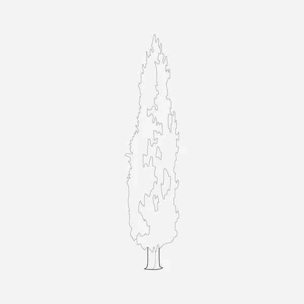 Cypress simgesi line öğesi. Selvi simgesi satır web mobil app logo tasarımı için temiz arka plan üzerinde izole vektör çizim. — Stok Vektör