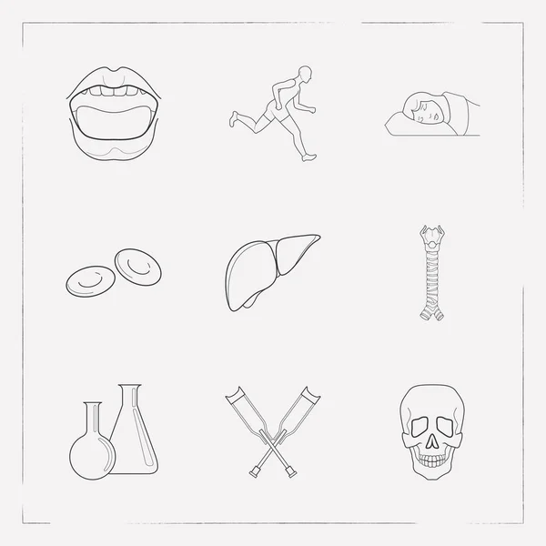 解剖学のアイコン ライン スタイル気管、松葉杖、化学フラスコ web モバイル アプリのロゴ デザインのため他のアイコンとシンボルのセット. — ストックベクタ