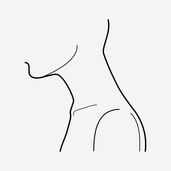 Elemento de línea de icono de cuello. Ilustración vectorial de la línea de iconos del cuello aislada en un fondo limpio para el diseño del logotipo de su aplicación móvil web . — Archivo Imágenes Vectoriales