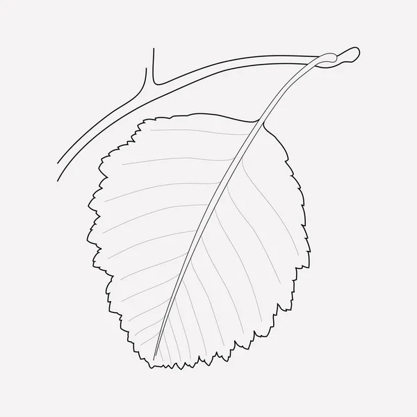 Brazilwood 아이콘 선 요소입니다. Brazilwood 아이콘 라인 웹 모바일 애플 리 케이 션 로고 디자인에 대 한 깨끗 한 배경에 고립의 벡터 일러스트 레이 션. — 스톡 벡터