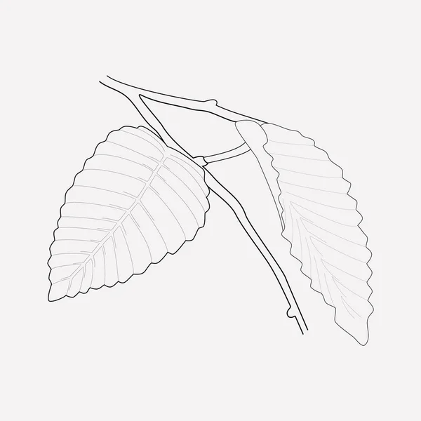 Елемент лінії піктограми листя рогів. Векторні ілюстрації лінії іконок листя рогу ізольовані на чистому фоні для дизайну логотипу вашого веб-додатку мобільного . — стоковий вектор