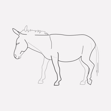 Dankey simgesi line öğesi. Web mobil app logo tasarımı için temiz arka plan üzerinde izole dankey simgesi çizgi vektör çizim.