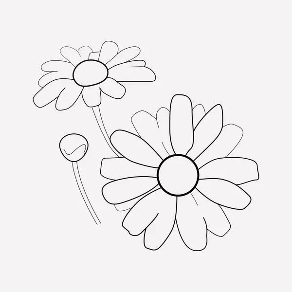 Elemen garis ikon Daisy. Ilustrasi vektor dari baris ikon daisy diisolasi di latar belakang bersih untuk desain logo aplikasi seluler Anda . - Stok Vektor