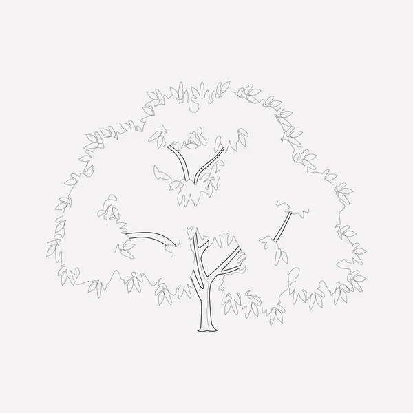 Elemento de línea de icono de árbol de nuez. Ilustración vectorial de la línea de iconos de nogal aislado en un fondo limpio para el diseño del logotipo de su aplicación móvil web . — Vector de stock