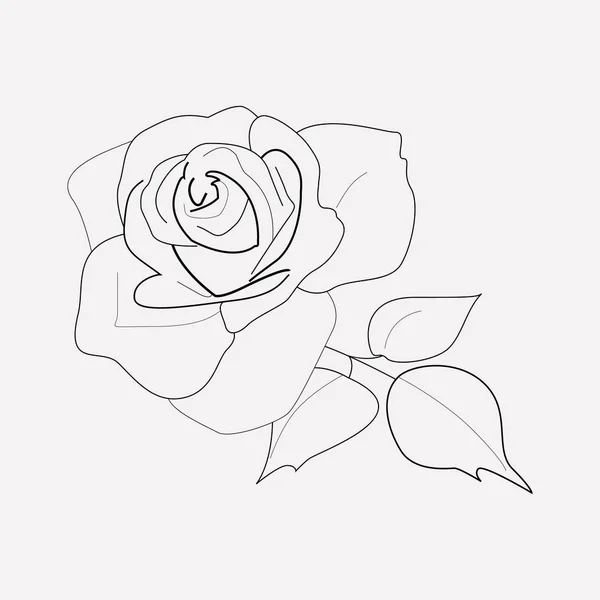 Rosensymbolzeilenelement. Vektorillustration der Rosensymbollinie isoliert auf sauberem Hintergrund für Ihr Web-Mobile-App-Logo-Design. — Stockvektor