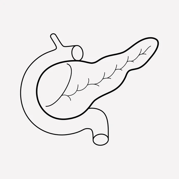 Pancreas ícone elemento de linha. Ilustração vetorial da linha de ícone do pâncreas isolada no fundo limpo para o design do logotipo do aplicativo móvel da web . — Vetor de Stock