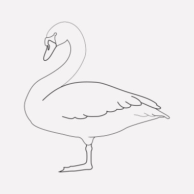 Kuğu simgesi line öğesi. Kuğu simgesi satır web mobil app logo tasarımı için temiz arka plan üzerinde izole vektör çizim.