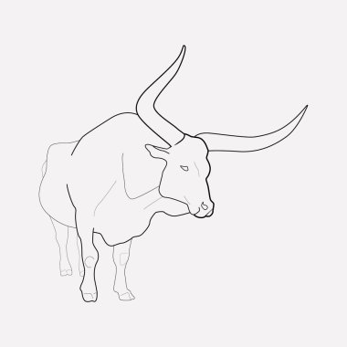 Öküz simgesi line öğesi. Öküz simgesi satır web mobil app logo tasarımı için temiz arka plan üzerinde izole vektör çizim.