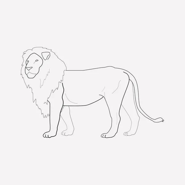 León icono elemento de línea. Ilustración vectorial de la línea de iconos de león aislada en un fondo limpio para el diseño del logotipo de su aplicación móvil web . — Vector de stock