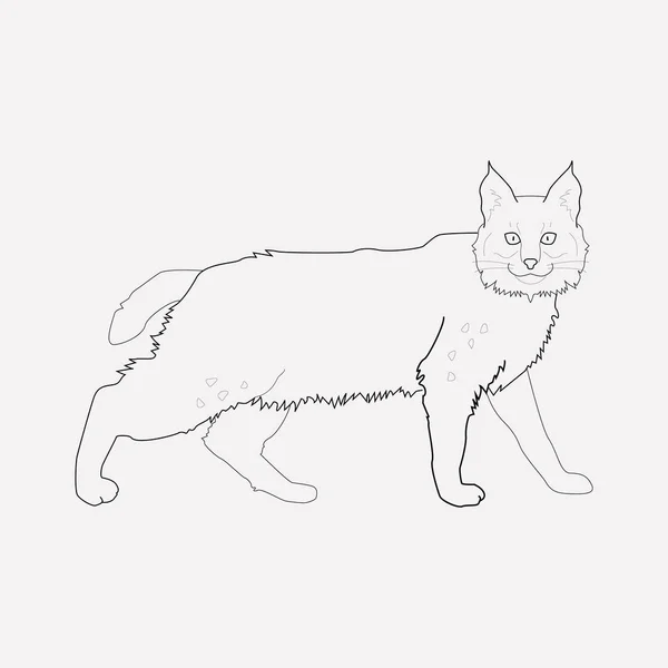 Elemento de linha de ícones Lynx. Ilustração vetorial da linha de ícones de lince isolada no fundo limpo para o design do logotipo do aplicativo móvel da web . —  Vetores de Stock