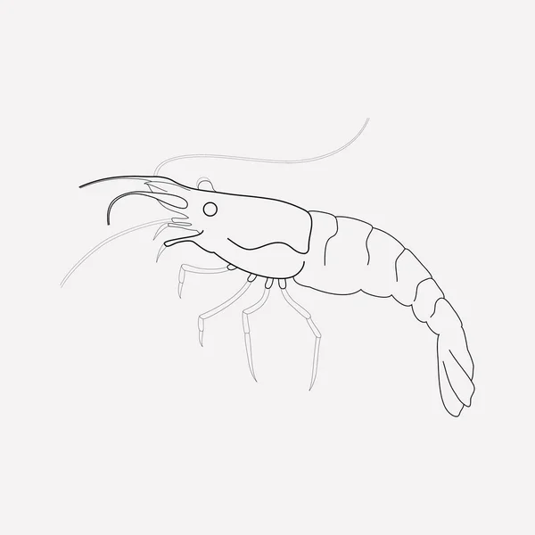 Elemen garis ikon udang. Ilustrasi vektor dari baris ikon udang terisolasi di latar belakang yang bersih untuk desain logo aplikasi seluler Anda . - Stok Vektor