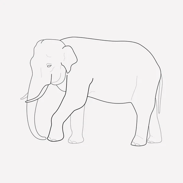 Sloní Ikonu Line Prvku Vektorové Ilustrace Slon Ikonu Linie Izolovaných — Stockový vektor