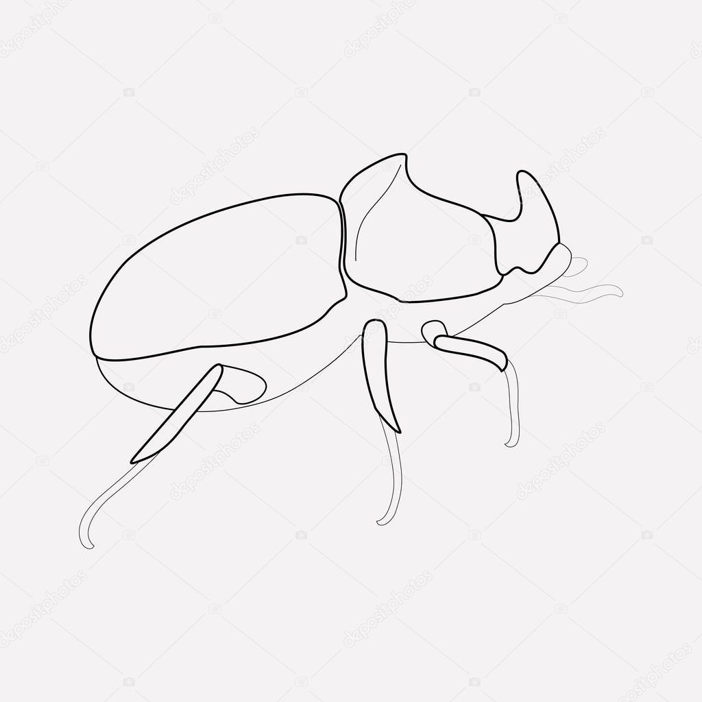 Beetle icon line element. Vector illustration of beetle icon line isolated on clean background for your web mobile app logo design.