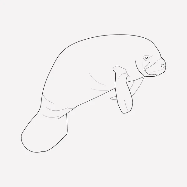 Prvek řádku ikona mořských krav. Vektorové ilustrace sea cow ikonu linie izolovaných na čistém pozadí pro vaše webové mobilní aplikace logo design. — Stockový vektor