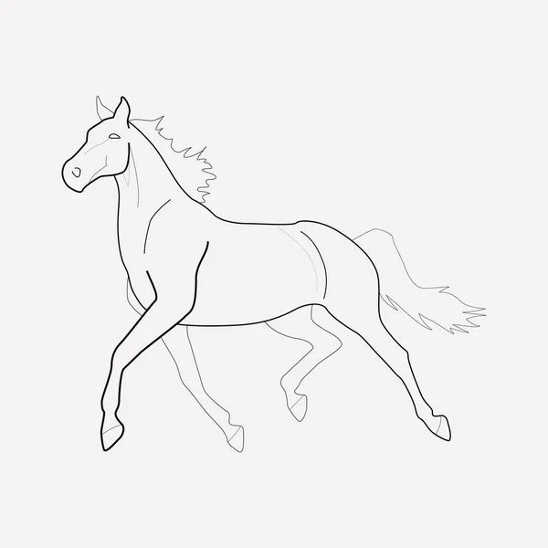 Elemento linea icona cavallo. Illustrazione vettoriale della linea di icone del cavallo isolata su sfondo pulito per il design del logo dell'app mobile web . — Vettoriale Stock