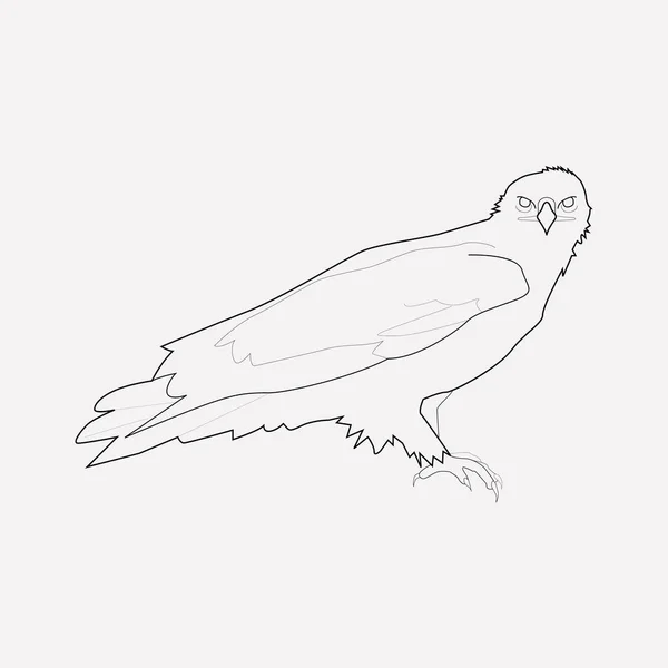 Elemento de línea de icono de águila. Ilustración vectorial de la línea de iconos de águila aislada en un fondo limpio para el diseño del logotipo de su aplicación móvil web . — Vector de stock